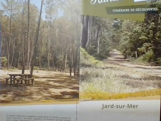 Les Petites Jardaises,6-8pers, A Pied, Plages, Centre Ville, Port ז'אר-סור-מר